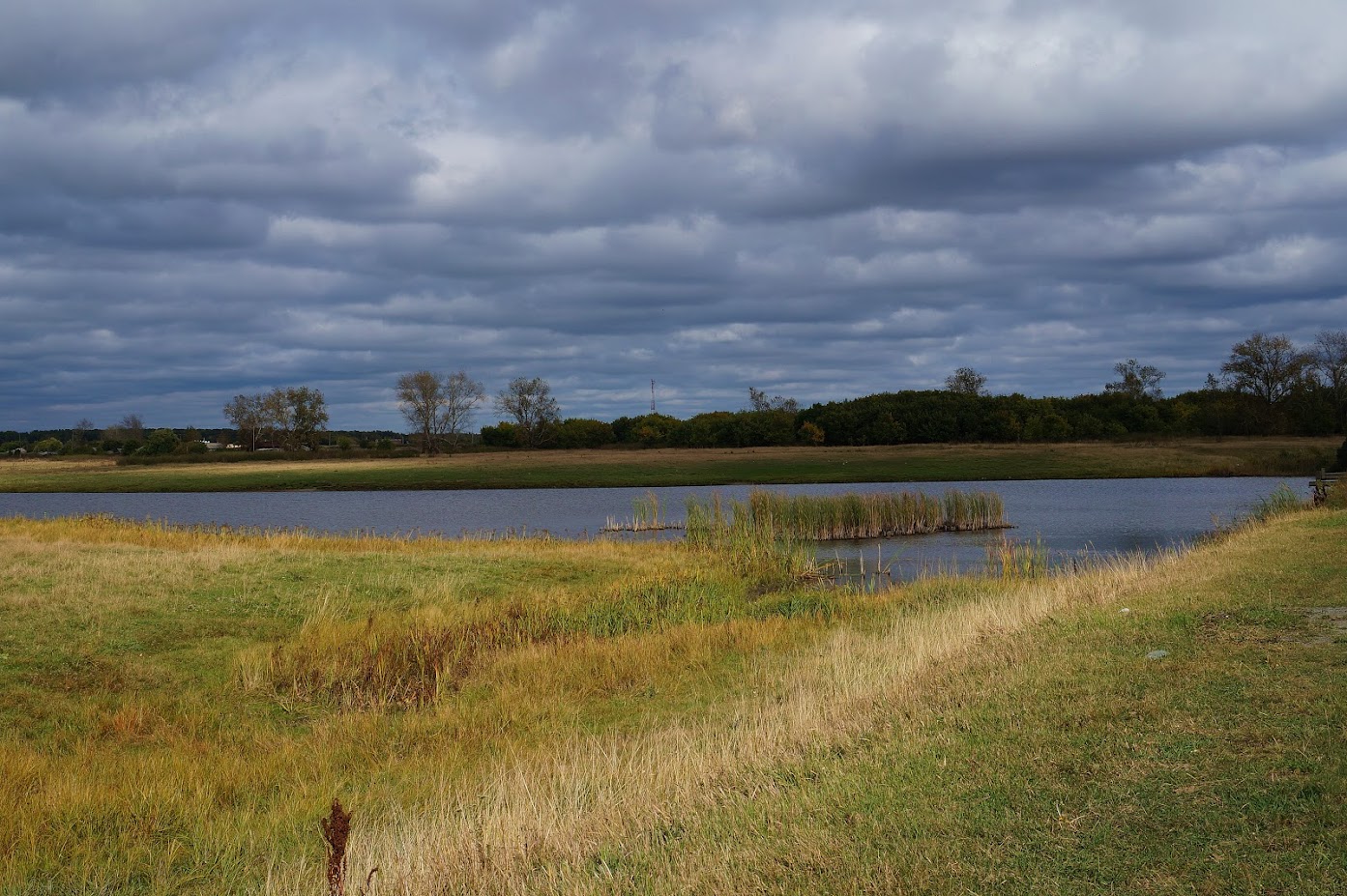 Администрация Прыганского сельсовета.